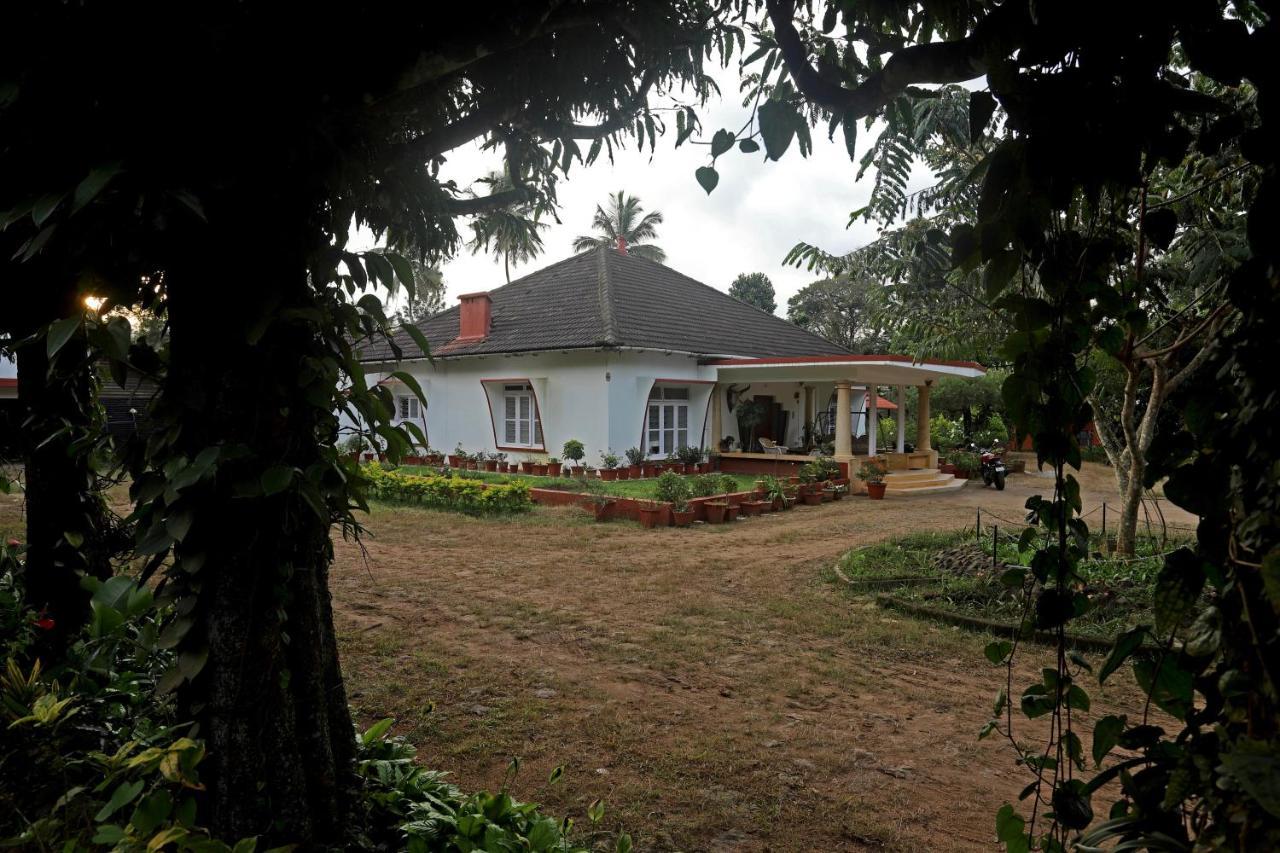 Devi Villa - Plantation Retreat And Forest Getaway Kutta 외부 사진