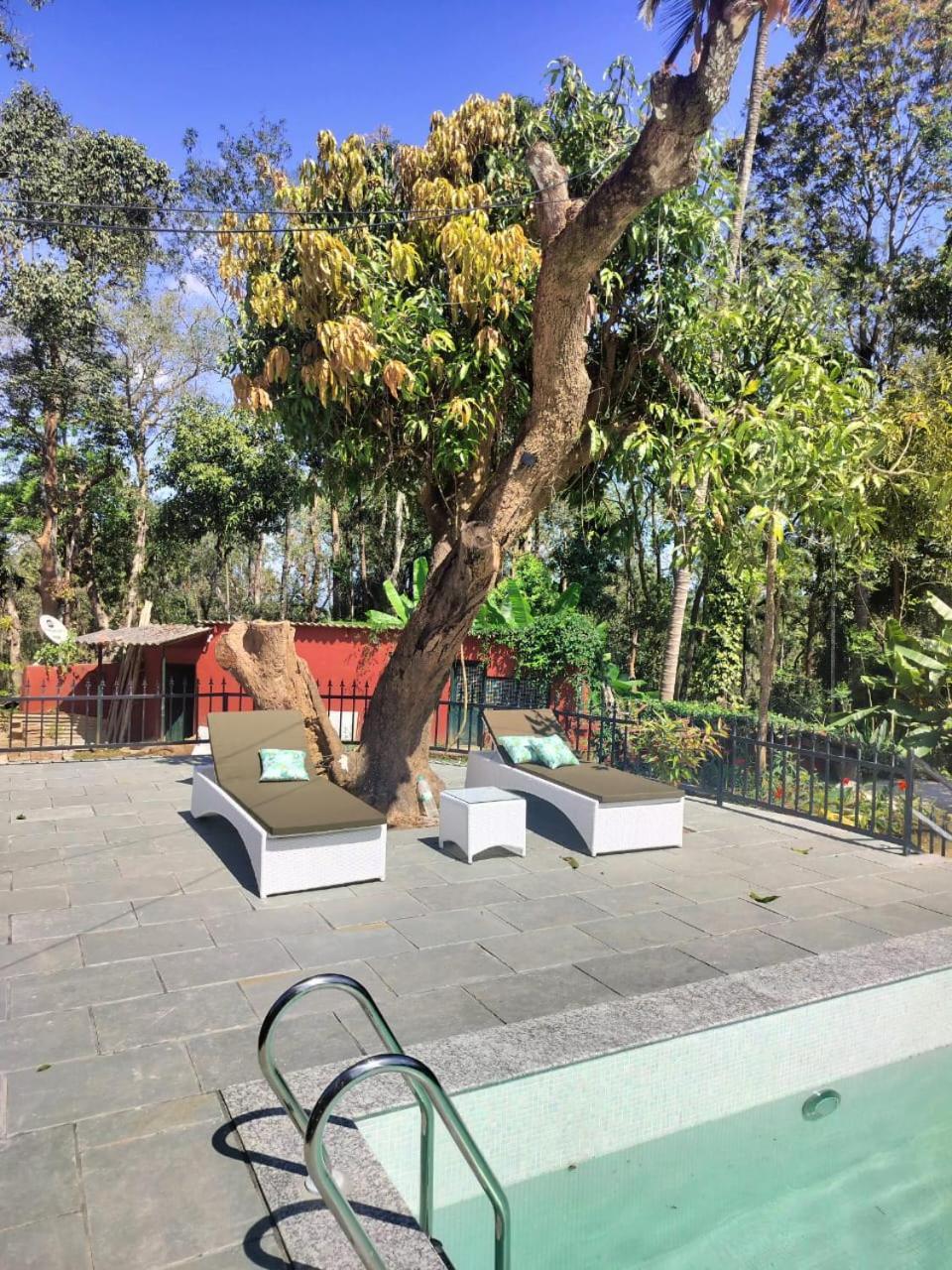 Devi Villa - Plantation Retreat And Forest Getaway Kutta 외부 사진